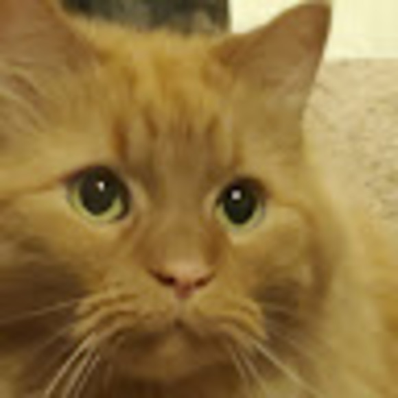 sirsebastian2u